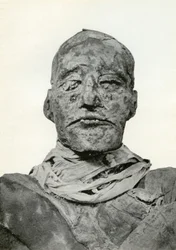 Cabeza de la momia de Ramsés III, faraón egipcio de la 20ª dinastía, c1156 a.C.