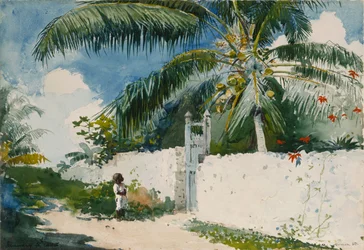 Un jardín en Nassau