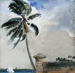 Una brisa tropical, Nassau, 1889-90