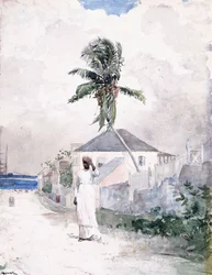 A lo largo del camino, las Bahamas, 1885