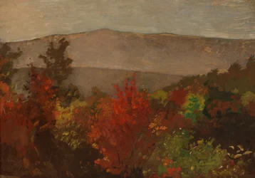 Copas de Árboles en Otoño