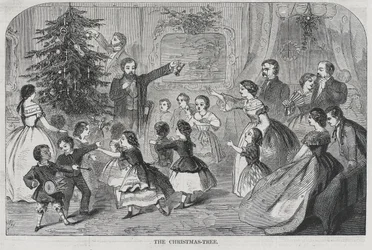 Navidad--Recolección de siempreverdes El árbol de Navidad