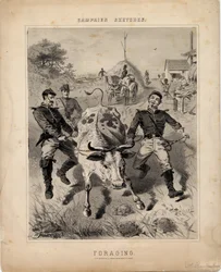 Forrajeo, ilustración de 