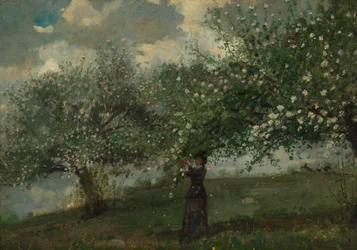 Niña recogiendo flores de manzano