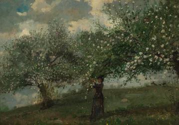 Niña recogiendo flores de manzano