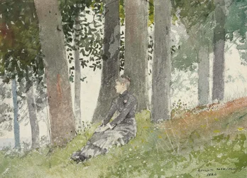 Niña sentada en un bosquecillo