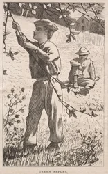 Manzanas verdes, 1868