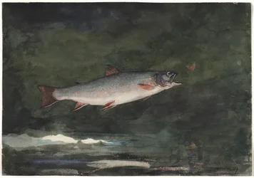 Trucha saltando, 1889