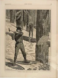 La madera en el invierno