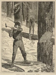 Lumbering in Winter, de Every Saturday: A Journal of Choice Reading, 28 de enero de 1871