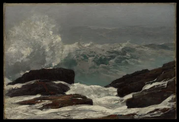 Costa de Maine