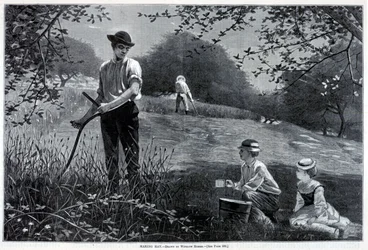 Making Hay, de Harper
