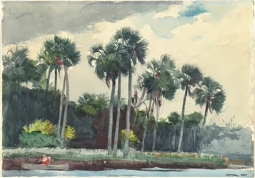 Camisa roja, Homosassa, Florida, 1904