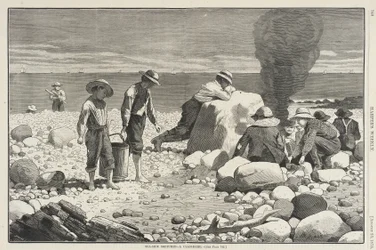 Bocetos de la costa - Una parrillada de almejas
