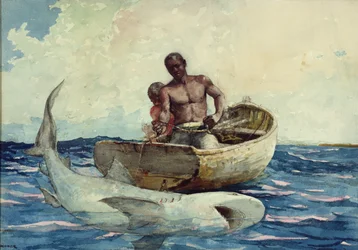 Pesca de tiburones, 1885