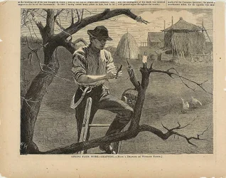 Trabajos agrícolas de primavera