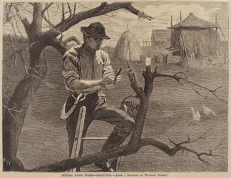 Trabajo de primavera en la granja - Injerto, publicado en 1870