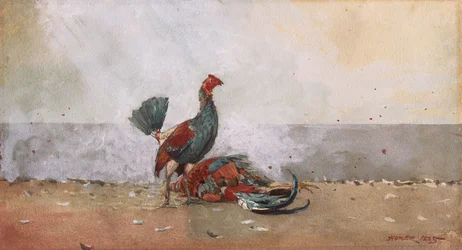 La pelea de gallos