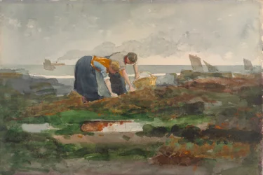 Los recolectores de mejillones