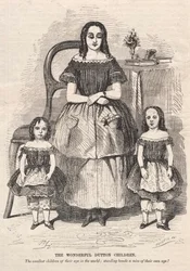 Los maravillosos niños Dutton, 1859