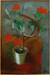 Flores rojas