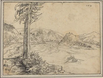 Los rápidos del Danubio cerca de Grein