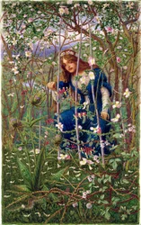 El bosque de zarzas