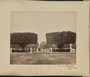 Árboles cerca de Waterpaleis. Djokjakarta