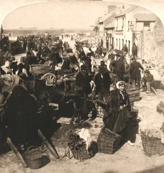 Vendiendo el bastón de la vida del irlandés, el mercado de patatas, Galway, Irlanda, 1901