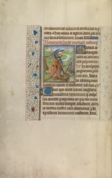 San Miguel y el Dragón
