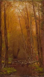 Los abedules de los Catskills