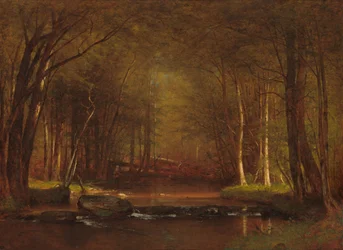 Arroyo de truchas en los Catskills