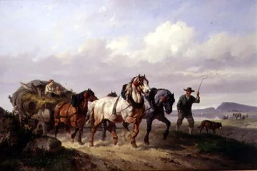 Un equipo de caballos de tiro
