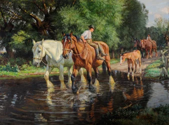 Caballos de granja y potro en un vado, c.1915 (óleo sobre lienzo)