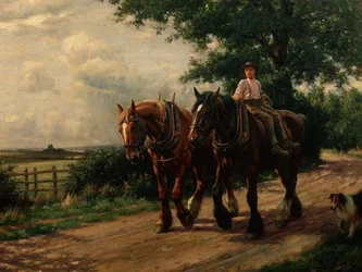 De camino a casa