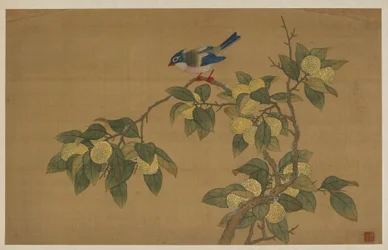 Pájaro y Fruta