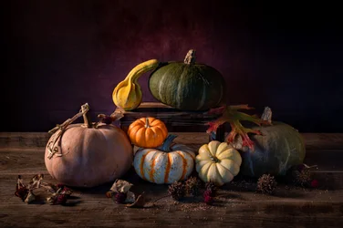 Calabazas de la cosecha de otoño