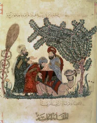 Abu Zayd, Al-Harrith, un camello reclinado y una figura