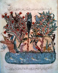 La isla misteriosa poblada de animales extraños. Miniatura del “Maqamat” (Sesiones) de Abu Mohammed al-Kasim ibn Ali Hariri, iluminado por Yahya Mahmud al-Wasiti en 1237, París, B.N.