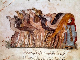Un grupo de camellos y camelleros, caravana en el desierto. Página de “Maqamat” (Seances), poema picaresco del siglo XI del poeta árabe Abu Mohammed al-Kasim ibn Ali Hariri (o Al-Hariri) (1054-1122) ilustrado por Al-Wasiti