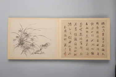 Elegancia refinada en las cuatro estaciones Shiji seiga, Álbum de pinturas de flores, 1844