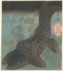 Carpa y pino