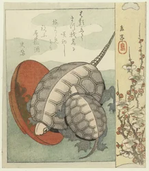 Tortugas con cuenco de sake