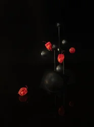 Móvil oscuro con faroles flotantes
