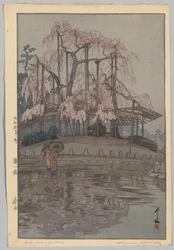 Ocho Escenas de Flores de Cerezo: Lluvia de Primavera (Sakura no reclama: Harusame)