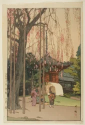 El cerezo en Kawagoe