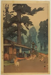 Camino al Santuario Kasuga