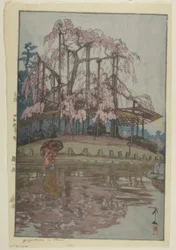 Yozakura bajo la lluvia