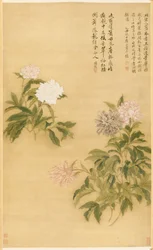 Peonías, 1685
