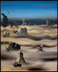 Tierra de sombras